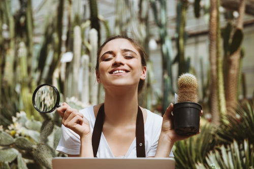 Sustainable Beauty: How Liht Organics Contributes to Eco-Friendly Makeup Practices