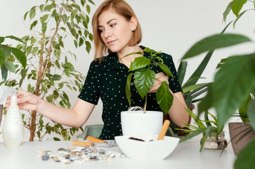 How Liht Organics Supports Sustainable Beauty Practices